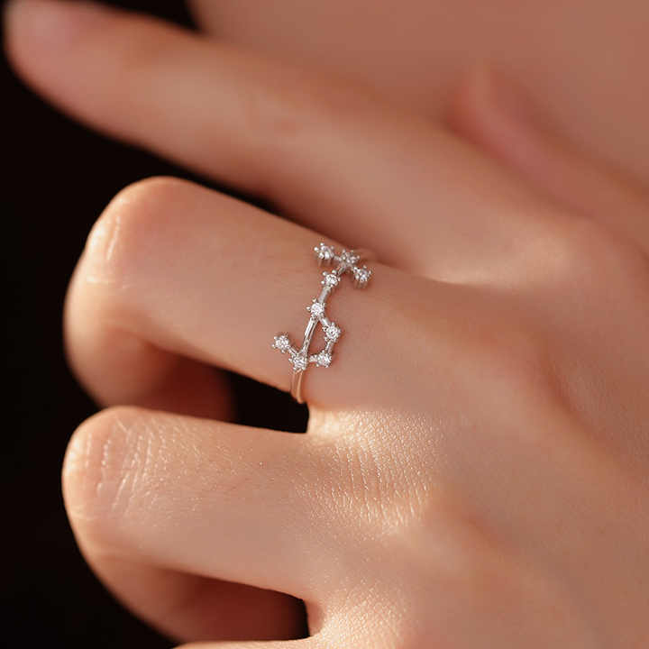 Twelve Constellations Ring - adjustable ring