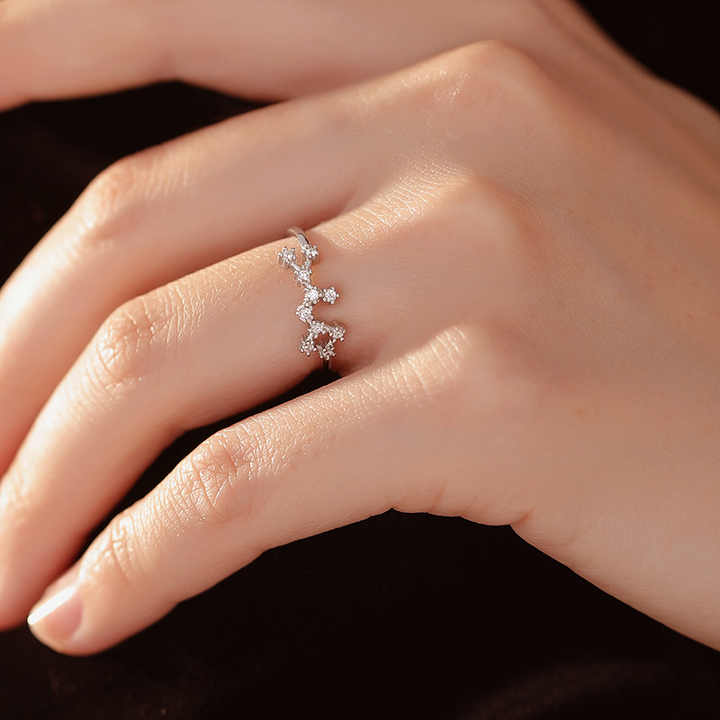 Twelve Constellations Ring - adjustable ring