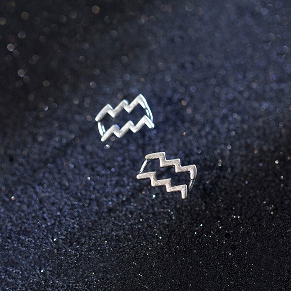 Twelve constellations Stud Earrings - RawaJewels