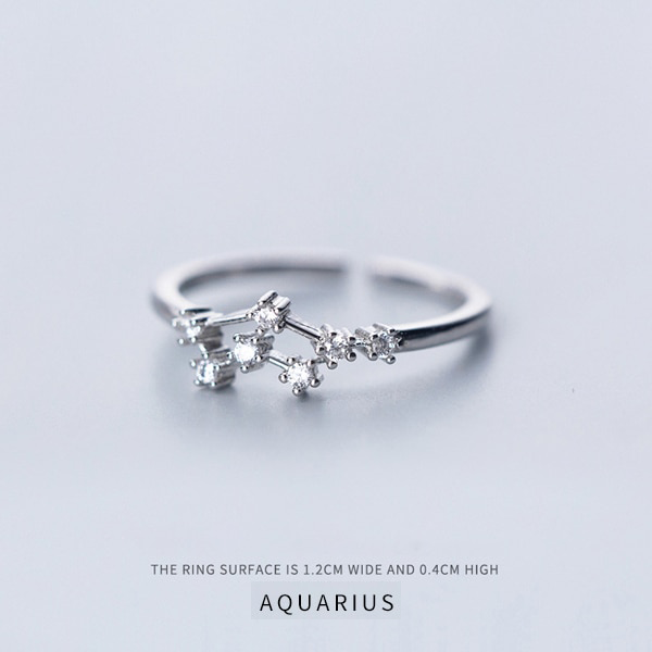Twelve Constellations Ring - adjustable ring