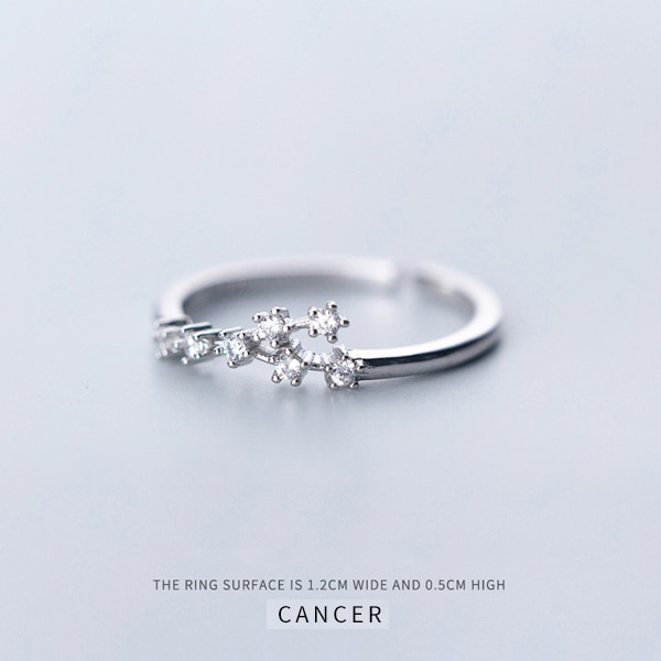 Twelve Constellations Ring - adjustable ring