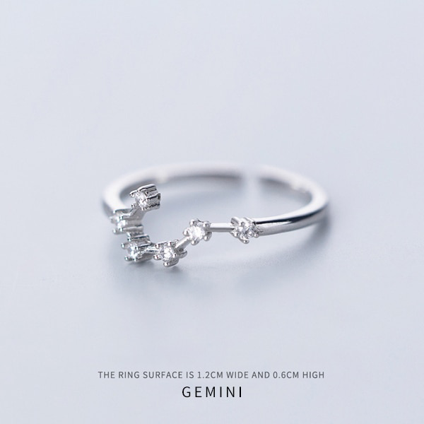 Twelve Constellations Ring - adjustable ring