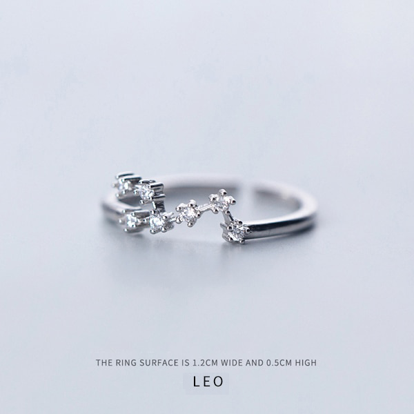 Twelve Constellations Ring - adjustable ring