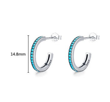 Exquisite Turquoise Stud Earrings - RawaJewels