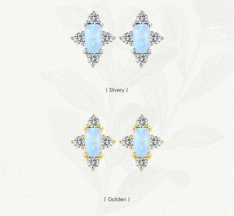 Elegance Earrings - RawaJewels
